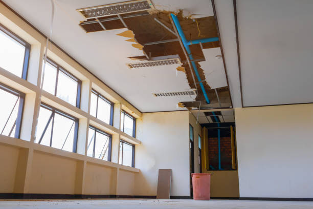 Best Flood restoration services  in Port Byron, IL