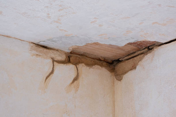 Best Flooded house restoration  in Port Byron, IL
