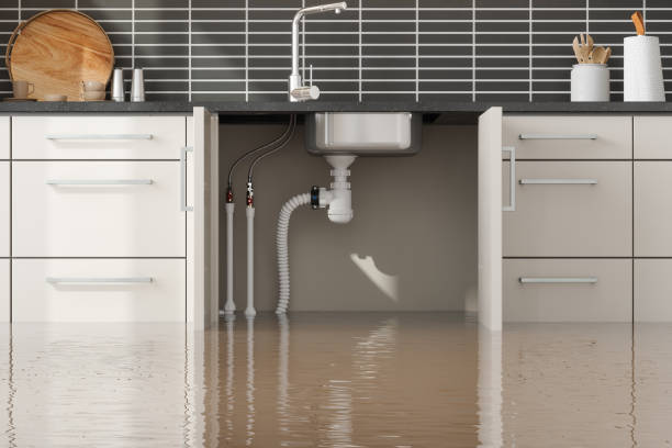 Best Carpet water damage restoration  in Port Byron, IL