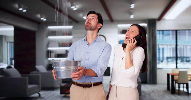 Best Basement water damage restoration  in Port Byron, IL